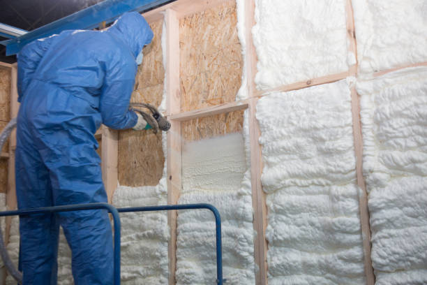 Best Insulation Air Sealing  in USA